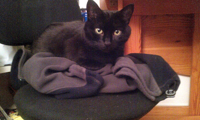 2010-11-03 Cadeaux d amerique_l.jpg
